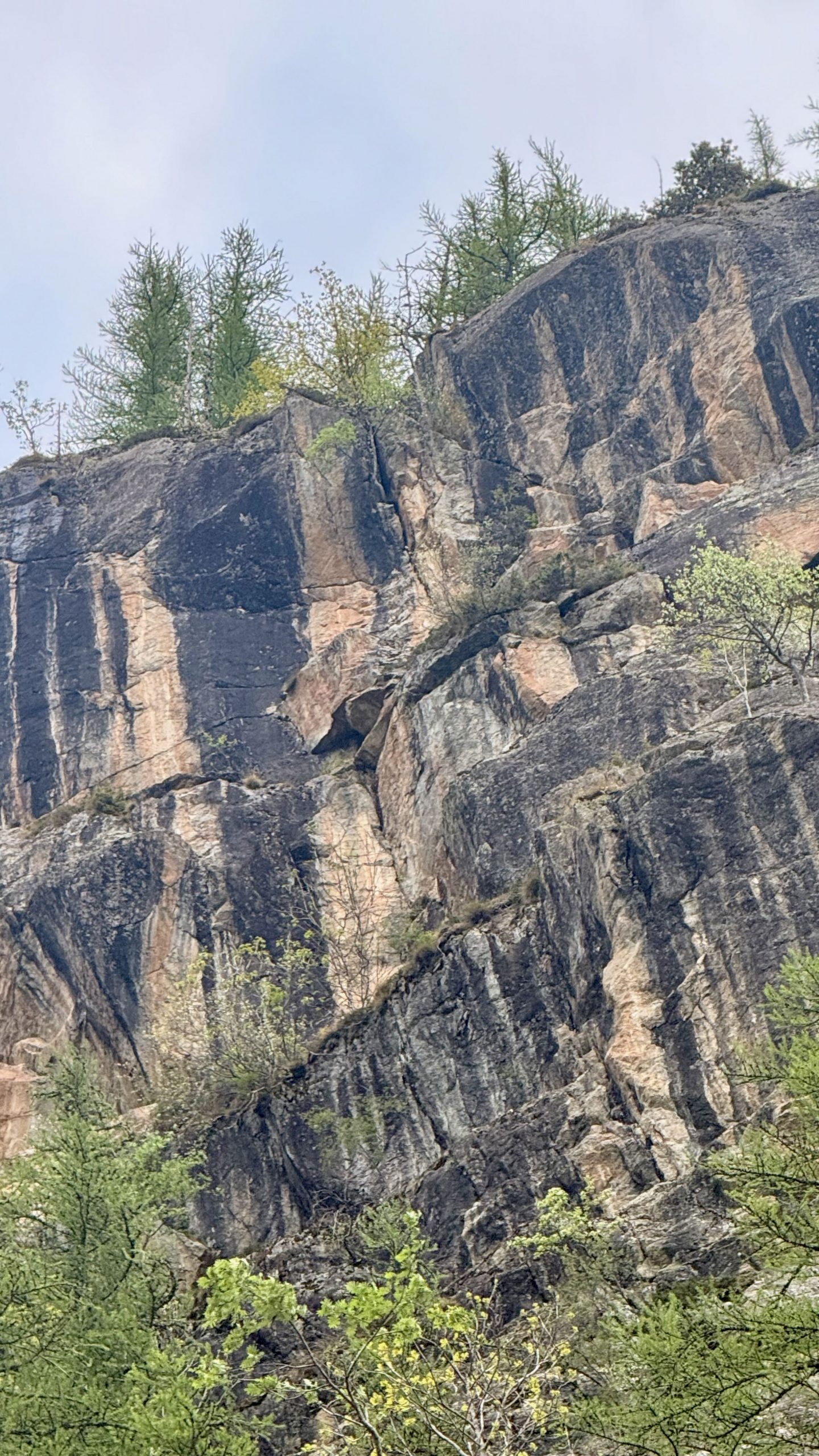 Woodstock, 190m mixed-trad. 6a+ | 6b+ > 6a [chantier]